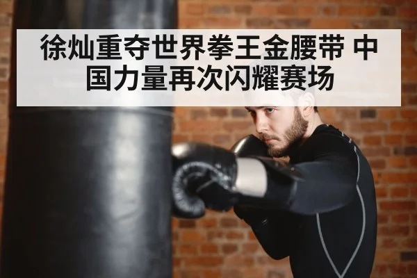 boxer training punching bag